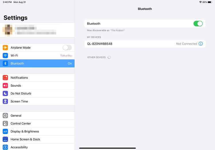 Apple iPad settings page with the Bluetooth settings selected.